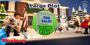 Large Plot