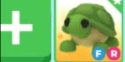 Gambar Product Turtle