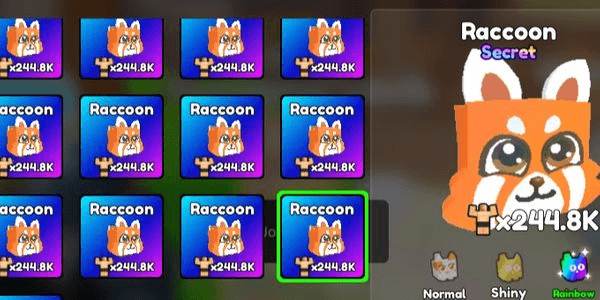 Gambar Product Pet Raccoon Secret Rainbow || Gym Star Simulator ||