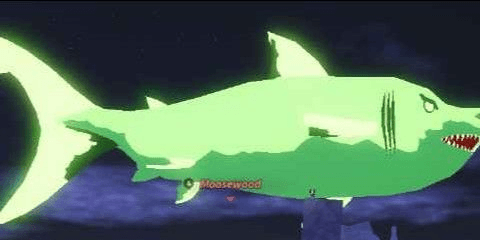 Gambar Product FISH SPARKLING SHINY GIANT MEGALODON 130+KG