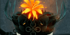 product-image-0