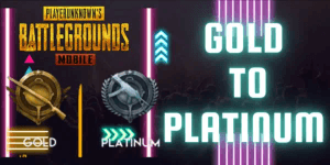 Gold To Platinum
