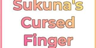 Gambar Product Sukuna Finger | Sakura Stand