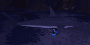 Great Hammerhead Shark (Random KG)