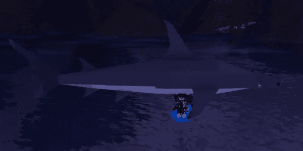 Great Hammerhead Shark (Random KG)