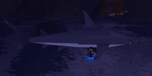 Great Hammerhead Shark (Random KG)