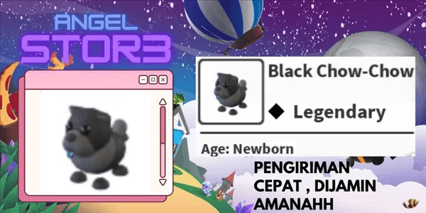 Black Chow-Chow