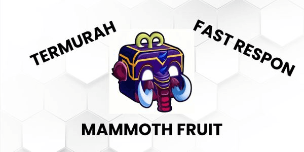 Gambar Product Mammoth
