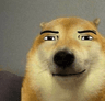 storeAvatar