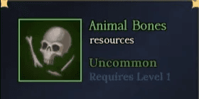 400 Animal Bones