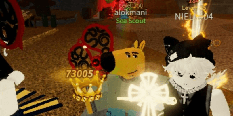 Product Showcase