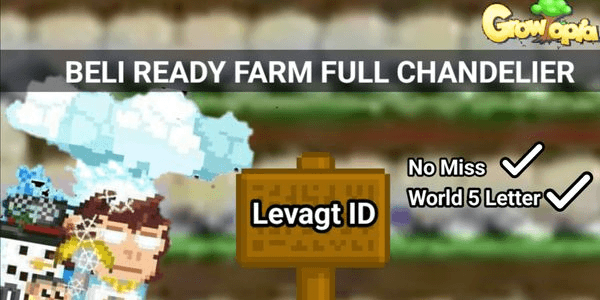 Gambar Product Chandelier Farm Full ( Ready Harvest )