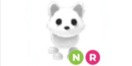 product-image-0