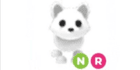 product-image-0