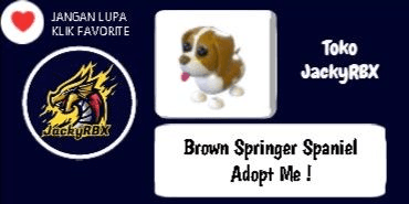 Gambar Product Brown Springer Spaniel