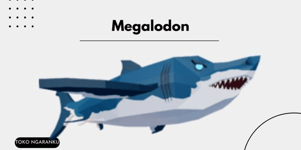 Gambar Product Megalodon