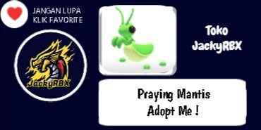Gambar Product Praying Mantis (Pet)