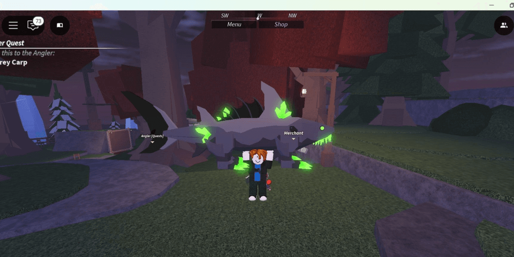 Product Showcase
