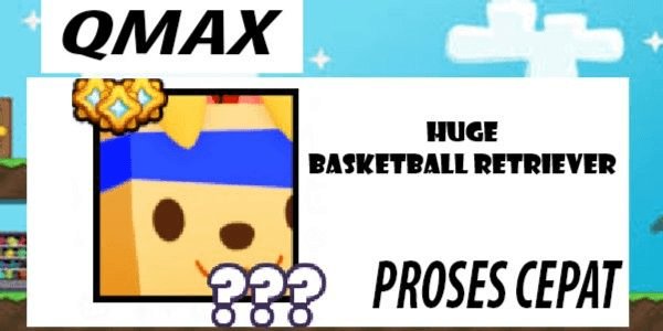 Gambar Product Huge Basketball Retriever