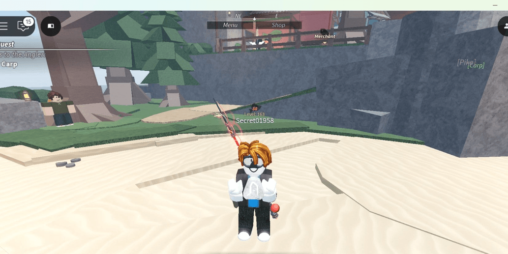 Product Showcase