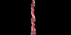 Gambar Product Rod of The Depth