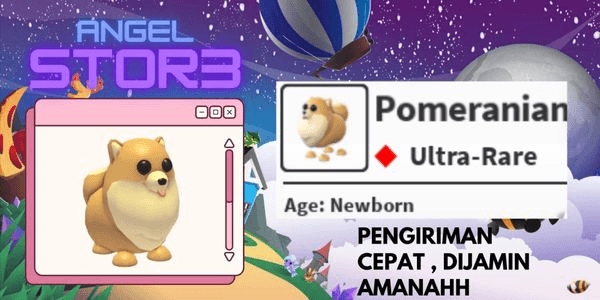 Gambar Product Pomeranian