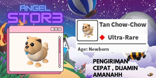 Gambar Product Tan Chow-Chow