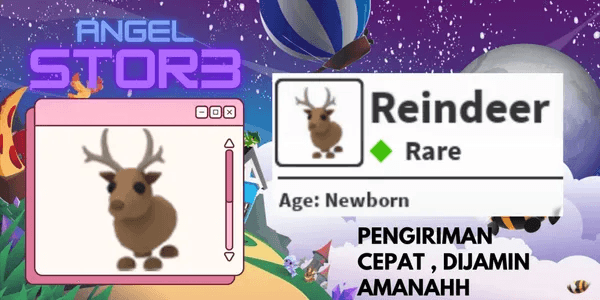Reindeer