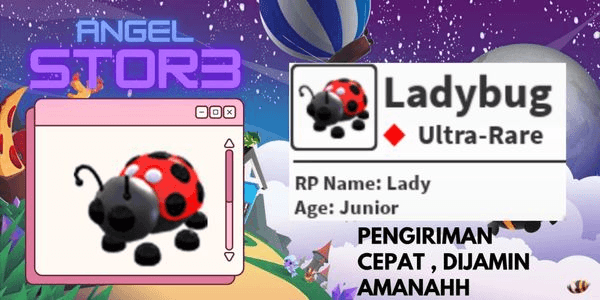 Gambar Product Ladybug