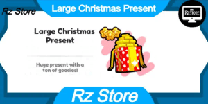 Large Christmas Present