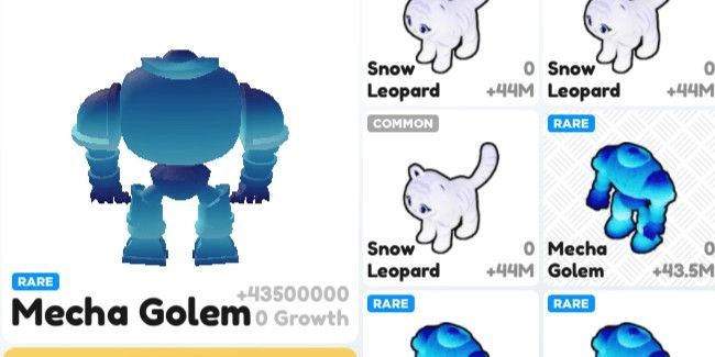 Product Showcase