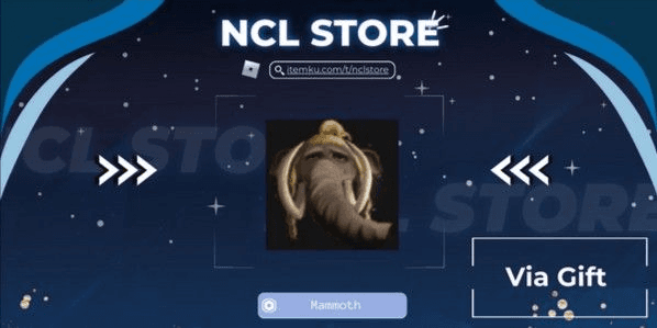 Product Showcase