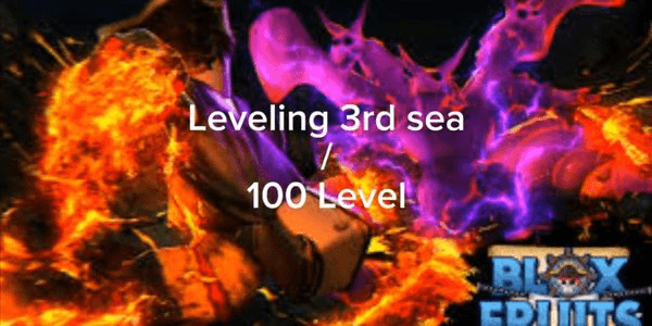 Gambar Product Leveling 3rd Sea