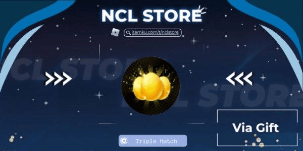 Product Showcase