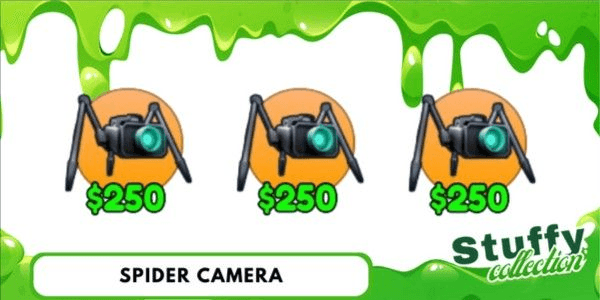 Product Showcase
