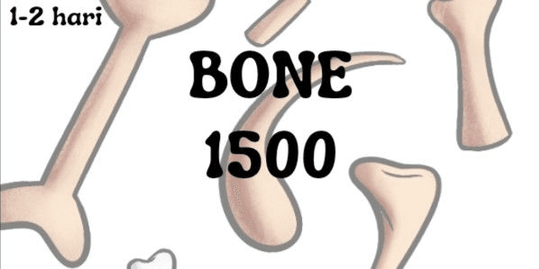 Gambar Product Bone
