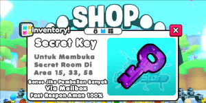 Secret Key