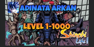 Level 1000