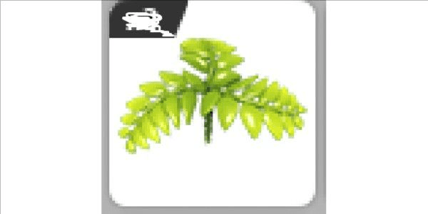 product-image-0