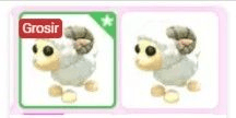 product-image-0