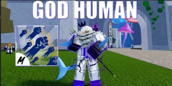 Gambar Product Fighting Style - Godhuman