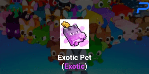 Exotic Pet VI