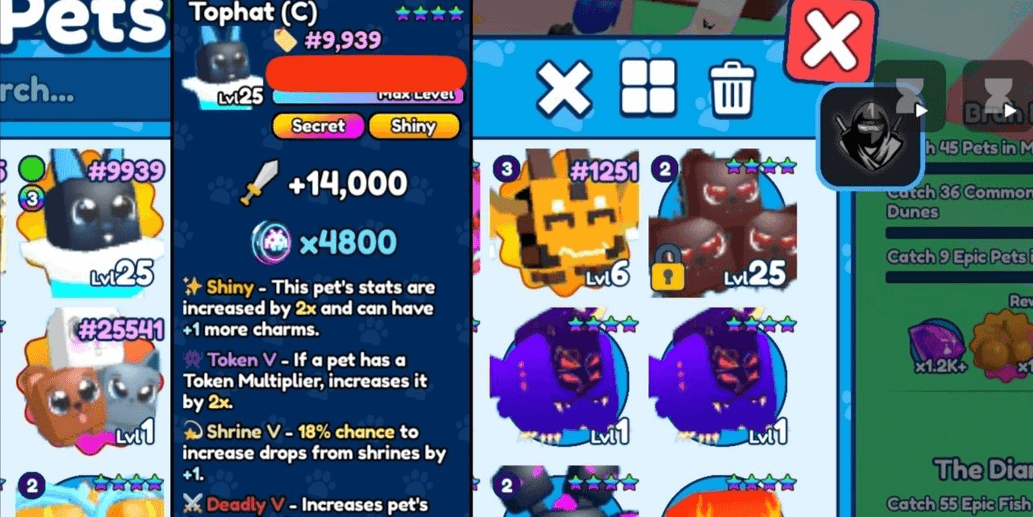 Product Showcase
