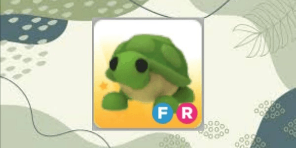 Gambar Product Turtle FR - Fly, Ride