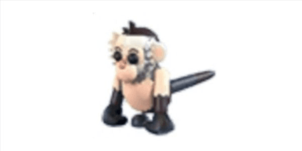 Gambar Product Normal capuchin monkey - Adopt me