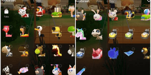 Animal full pack