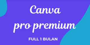 Pro 1 Month