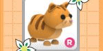Gambar Product R Ginger Cat - Adopt Me