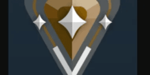 Bronze per rank