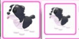 product-image-0